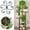 Green, variant on Hmgxay Metal Support Frame, Sturdy Plant Support Structure with Strong Load-Bearing Capacity, Durable Garden Stabilizer for Climbing Vines and Flowering Plants, Waterproof Potted Plant Support Rod
