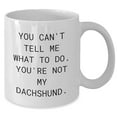 thumbnail image 2 of Dachshund Dog Lovers, Listen Up! Funny White Coffee Mug, Gifts from Friends for Dachshund Dog Enthusiasts, Valentine's Day Unique Gifts, You Can't Tell Me What To Do., 2 of 6