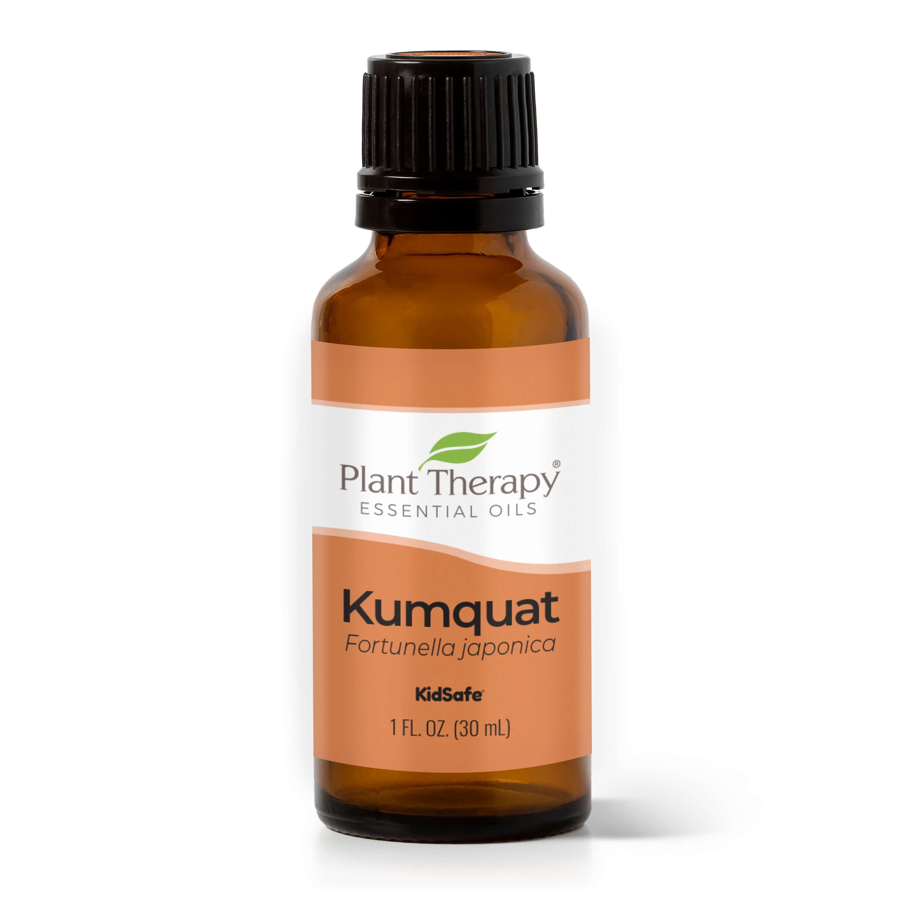 Plant Therapy Kumquat Essential Oil 30 mL (1 oz) 100 Pure, Undiluted, Therapeutic Grade