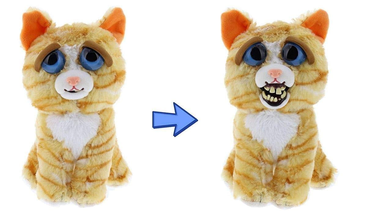 feisty cat toy