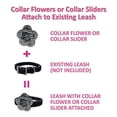 thumbnail image 3 of Pooch Outfitters Fancy Dog Collars & Collar Accessories Collection | Extensive Selection of Decorative Collars, Collar Flowers, Collar Sliders That Suit Any Style, Mood, Occasion, 3 of 5