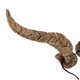 thumbnail image 4 of Diadema de cuernos de Halloween para cosplay, accesorios de disfraz de cuernos para decoraciones de fiesta de Halloween y accesorios de fotos, tocado de disfraz de cosplay, 4 of 8