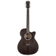 thumbnail image 1 of Guitarra electroacústica Washburn Dfeace Ebony Ace, 1 of 3