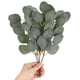 thumbnail image 3 of Inteprter Hojas de eucalipto artificial Tallo de eucalipto Hojas Ramas Tallos Planta de vegetación de eucalipto artificial Plantas de tallos de Decoración del hogar Inteprter HA015798-00, 3 of 5