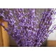 thumbnail image 1 of Xiao Hua 10 flores artificiales de jazmín de 75 cm de largo, ramo de flores falsas, ramas secas de jazmín artificial (morado), 1 of 2