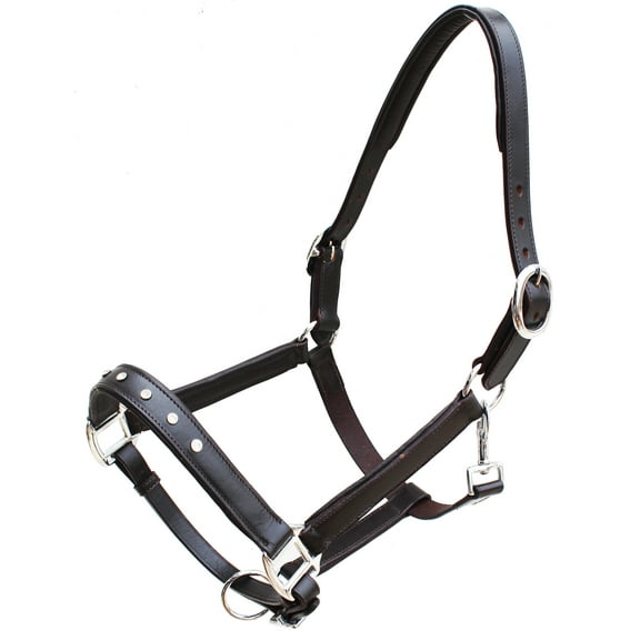 Horse Brown Leather Padded Show Halter w/ Clear Rhinestones 805LH02BR-F