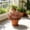 artificial greenery potted Under $5 a3, variant on Werulen Lifelike Artificial Greenery Potted Stable Flat Base, Office Desktop Indoor Permanent Floral Accent, Faux Plant, Table Bloom, Office Decor