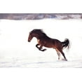 thumbnail image 2 of Bogdan R, Mihai 14x11 White Modern Wood Framed Museum Art Print Titled - 735W 2, 2 of 4