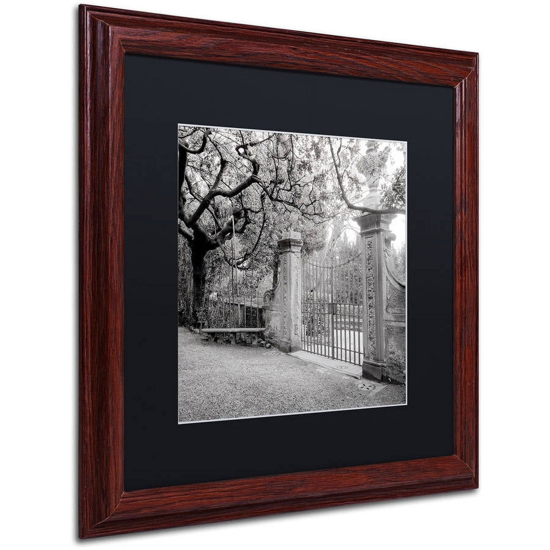 Trademark Fine Art "Firenze I" Canvas Art by Alan Blaustein, Black Matte, Wood Frame