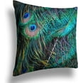 thumbnail image 2 of Peacock Feathers Velvet Throw Pillow Covers Sofa Pillowcase Car Square Throw Pillowcases Home Decoration 18x18Inch, 2 of 6
