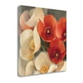 thumbnail image 2 of Tangletown Fine Art Poppies Bloom III By Albena Hristova,  Gallery Wrap Canvas, 2 of 2
