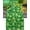 St. Patricks Day1159, variant on St. Patricks Day Table Runner 13x36 Inches Long Green Lucky Clover Runner for Table Leaves Plant Nature Table Runners Cotton Linen Dresser Scarf for Kitchen Coffee Dining Spring Holiday Party Decor