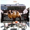 thumbnail image 1 of Wilco - Wilco (The Album) (LP/CD) (Vinyl), 1 of 1