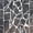 Clear, variant on Sunnydaze Mosaic Glass Fly-Through Hanging Bird Feeder, XX-Cup Capacity, Blue