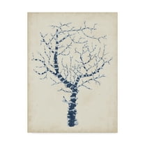 Trademark Fine Art 'Indigo Coral II' Canvas Art by Vision Studio