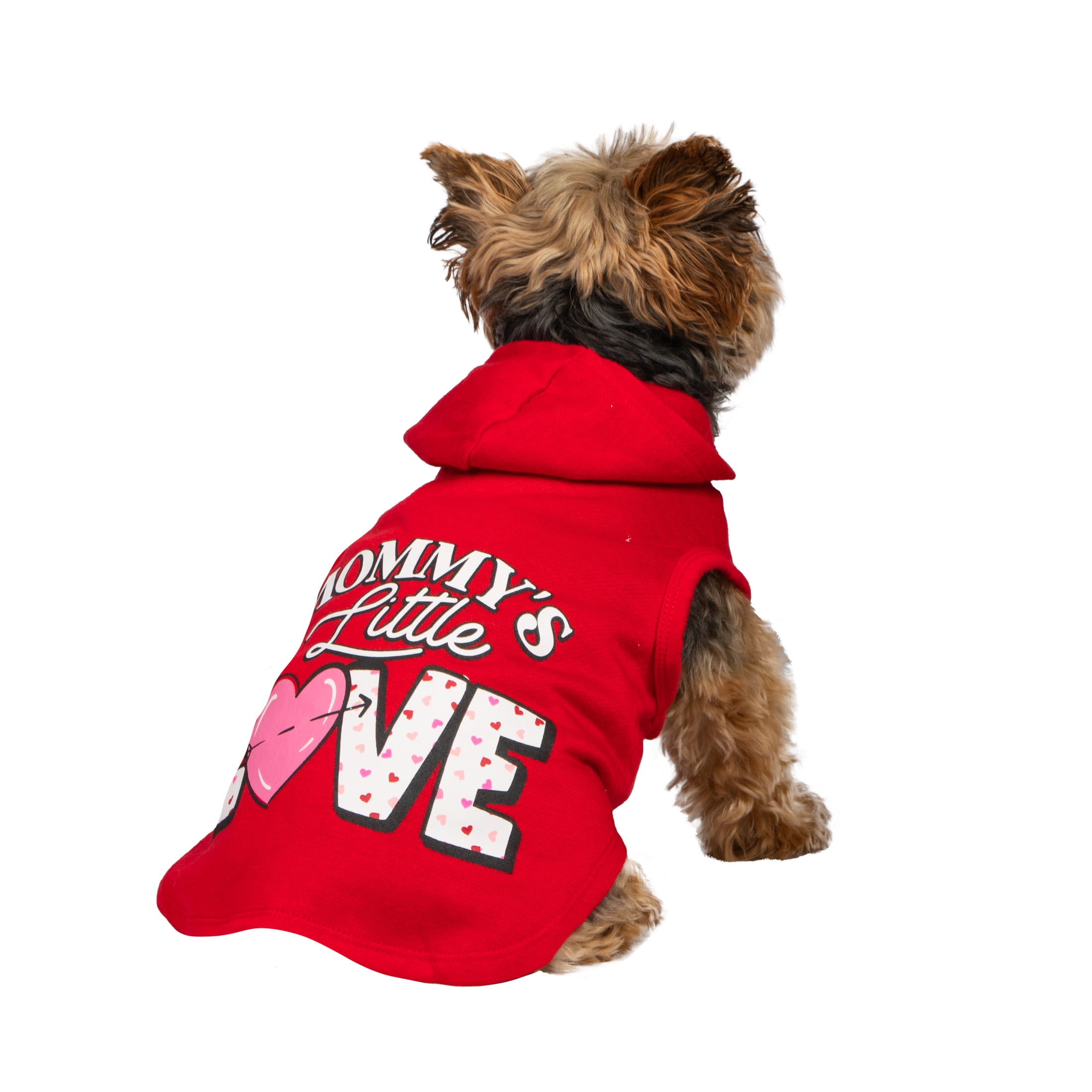 Dog hoodie 2025 pretty little thing