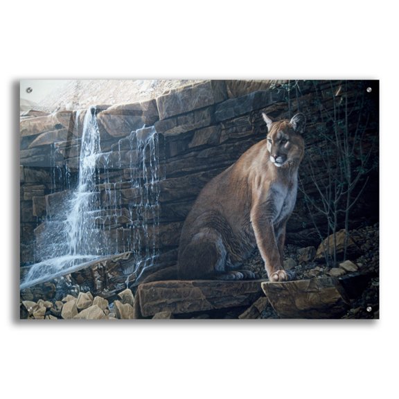 Epic Art 'Last Light' by Ron Parker, Acrylic Glass Wall Art, 36"x24"