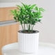 thumbnail image 5 of 4 macetas blancas para orquídeas, de plástico, para interiores, autorriego, con agujeros, para viveros, plantas, plántulas y jardinería., 5 of 7