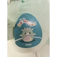thumbnail image 5 of Original Kellytoys Squishmallows 10" Plush - Choose Your Style, 5 of 6