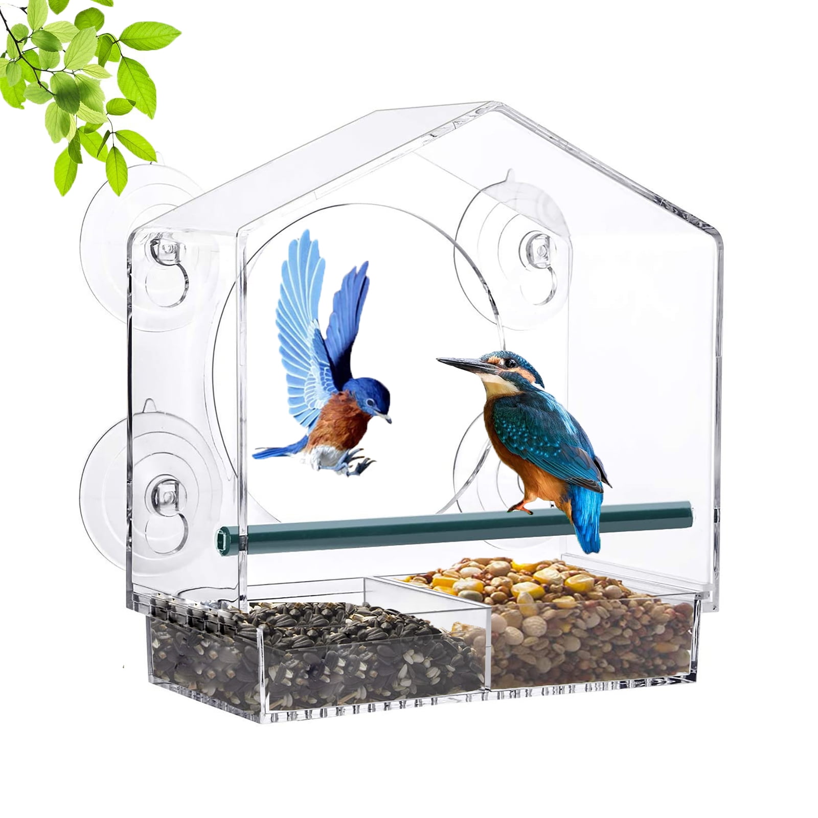 WLLKOO Window Bird Feeder, Bird House for Outside with 4 Rod, Acrylic  Window Bird Feeder with Strong Suction Cups and Drain Holes