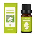 thumbnail image 1 of Clearance Essential oils Essence Oils For Candles 10ML Candle Unilateral Sweet Orange Aromatherapy Teatree Oil Lavender DIY Candle Material Oil-Soluble Aromatherapy Essentialoil(buy 2 get 10% off), 1 of 5