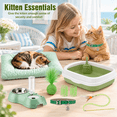10 Piece Kitten Starter Kit for Indoor Cats, Classic Green, Medium ...