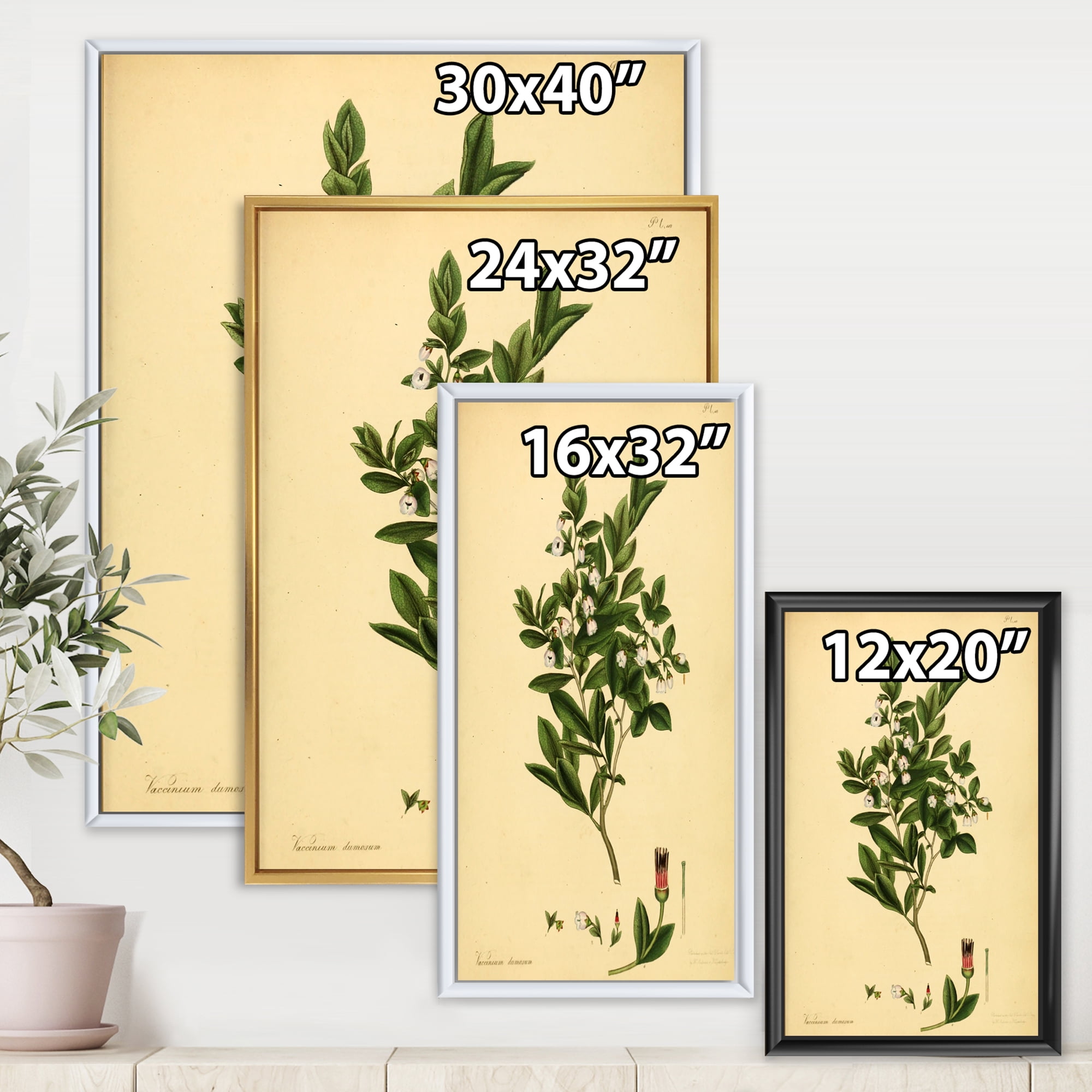 Designart 'Ancient Plant Life XXV' Traditional Framed Canvas Wall Art Print