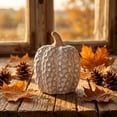thumbnail image 3 of Elainilye Ceramic Pumpkin Set, Cream Embossed Distressed Texture, Table Centerpiece, Fall Thanksgiving Decor, Home Decoration, 3 of 6