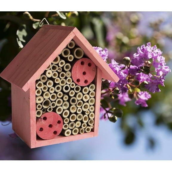 Cestari Kitchen Bamboo Tube & FSC Fir Bee Hotel for Native Bees, Hanging or Flat Mount, Rose Pink