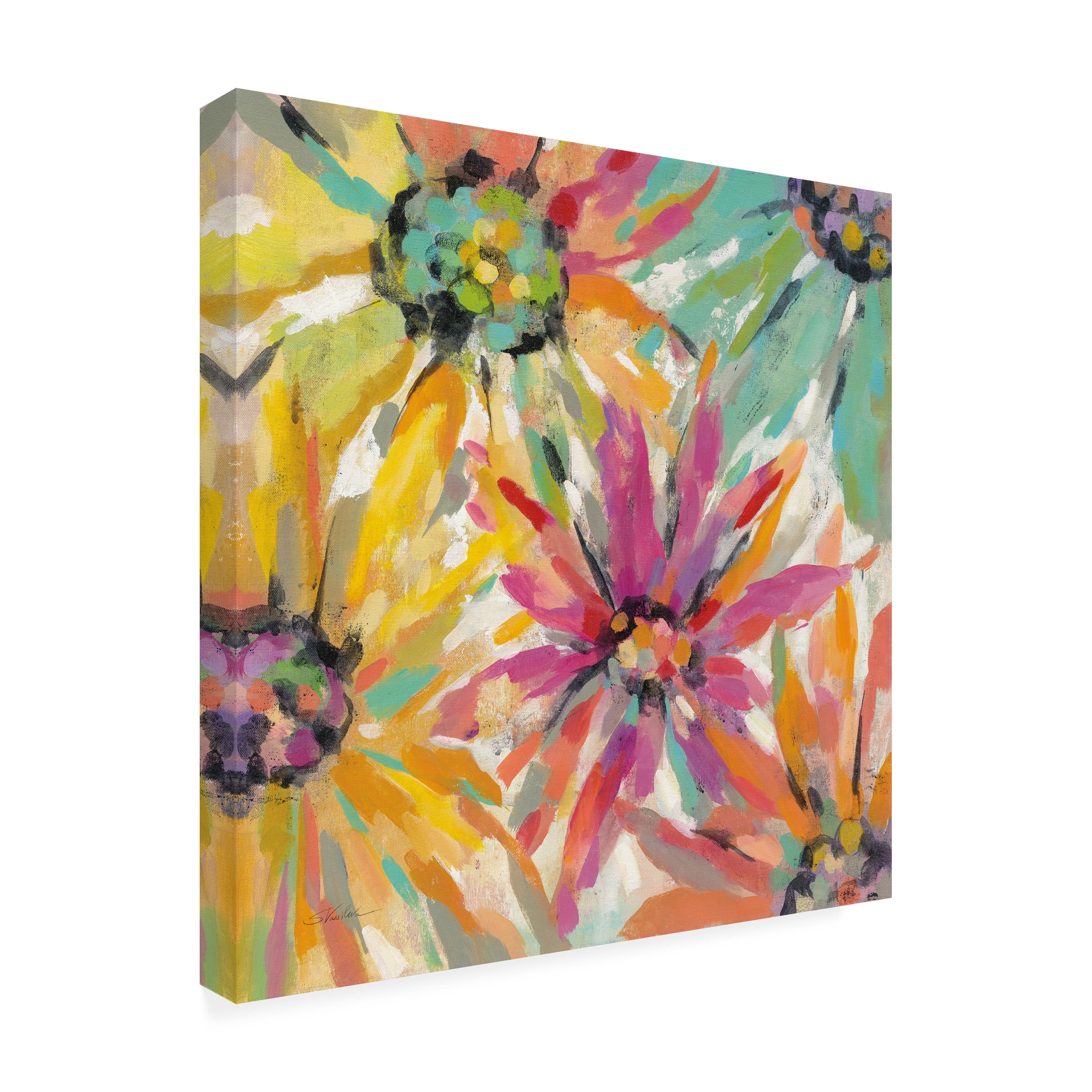 Trademark Fine Art 'Abstracted Petals II' Canvas Art by Silvia Vassileva