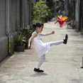 thumbnail image 4 of LEEYNEER 2 Pcs Volant Coloré Chinois Jianzi pour Enfants et Adultes, 4 of 7