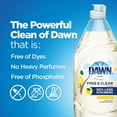 Dawn Free & Clear Dishwashing Liquid Dish Soap, Lemon Essence, 24 fl oz