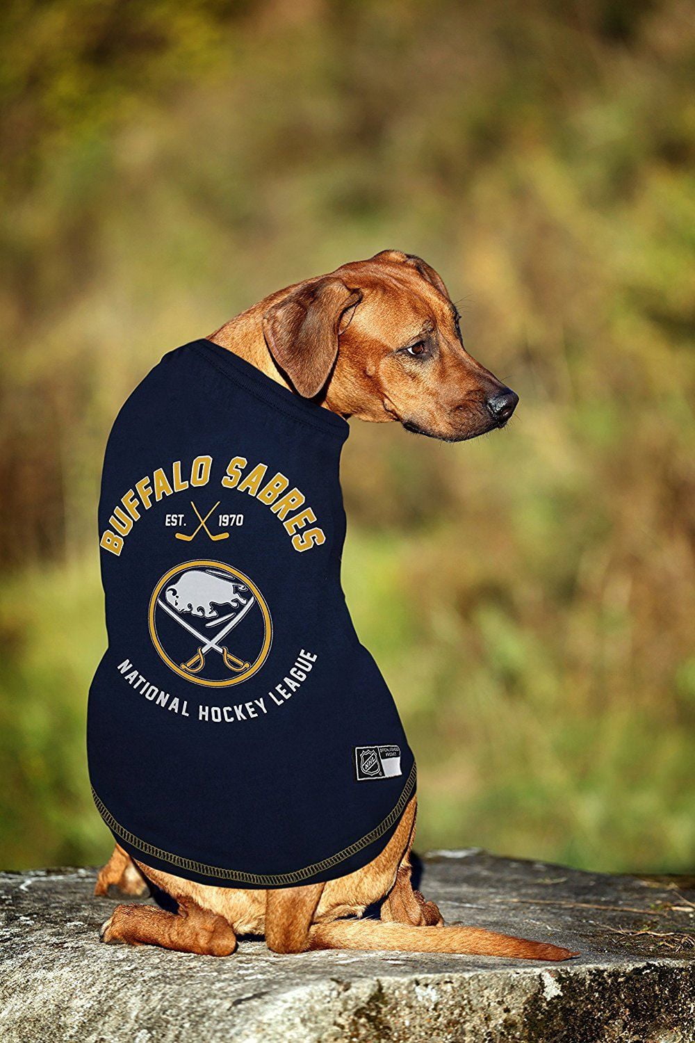 sabres dog jersey