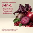 thumbnail image 2 of Snap Supplements USDA Organic Beet Root Powder, 3-in-1 Nitric Oxide Supplement, Support Healthy Blood Pressure and Blood Circulation, 250g (Mixed Berry), 2 of 5