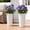 White, variant on TopComfy 23.6" Tall Outdoor Planters Set of 2, Large Plastic Flower Pots with Drainage Holes, Striped Tapered Planters for Front Porch, Patio, Garden & Indoor Plants, White