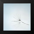 thumbnail image 2 of Irthum, Mathieu 12x12 Black Modern Framed Museum Art Print Titled - Drops And Stem, 2 of 5