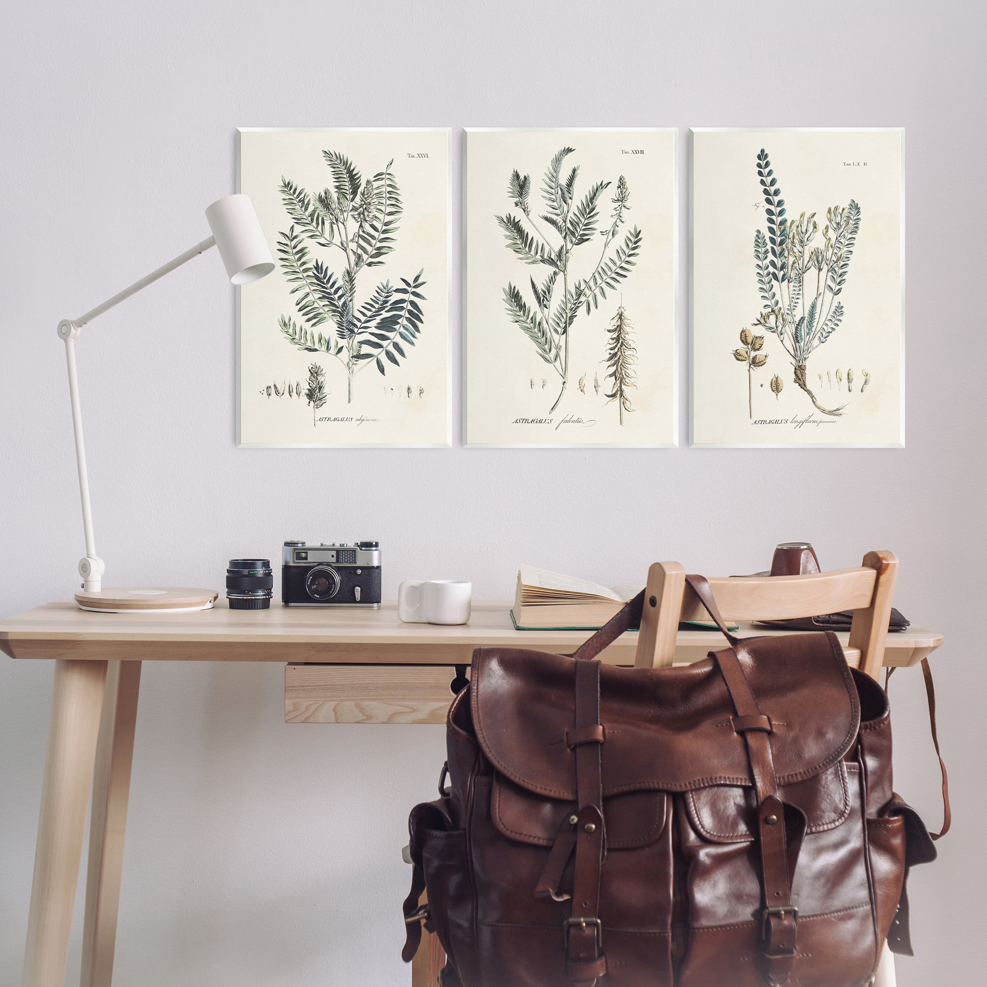 Stupell Industries Woodland Plant Studies Botanical & Floral Painting Unframed Art Print Wall Art, 13 x 19, Set of 3