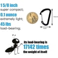 thumbnail image 2 of 10PCS Keychain Clips Mini Carabiner - 1 5/8inch Small Aluminum Durable Quick Release Auto Locking D-shape Spring Loaded Wire Gate Clip for Home, Rv, Camping, Fishing, Hiking, Traveling and Sports, 2 of 5