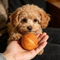 thumbnail image 6 of Dog Dental Chew Balls Teeth Cleaning Treat For Medium Large Breeds 3.5 Oz 2 Count Pack, 6 of 6