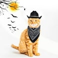 thumbnail image 5 of Dalrosia Dog Cowboy Hat Dog Cowboy Costume for Small Pet Dogs Cat Cowboy Hat with Bandana Scarf Set Party Accessories, 5 of 6