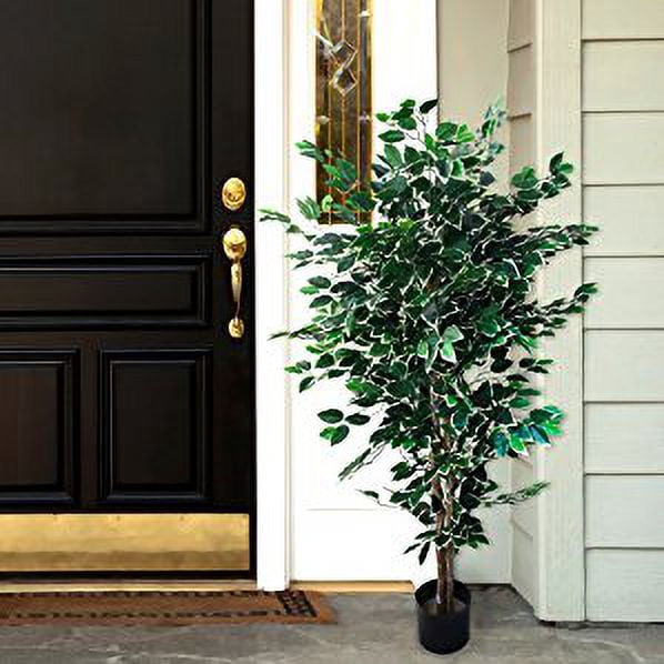 Pure Garden Ficus Tree, 5-Feet