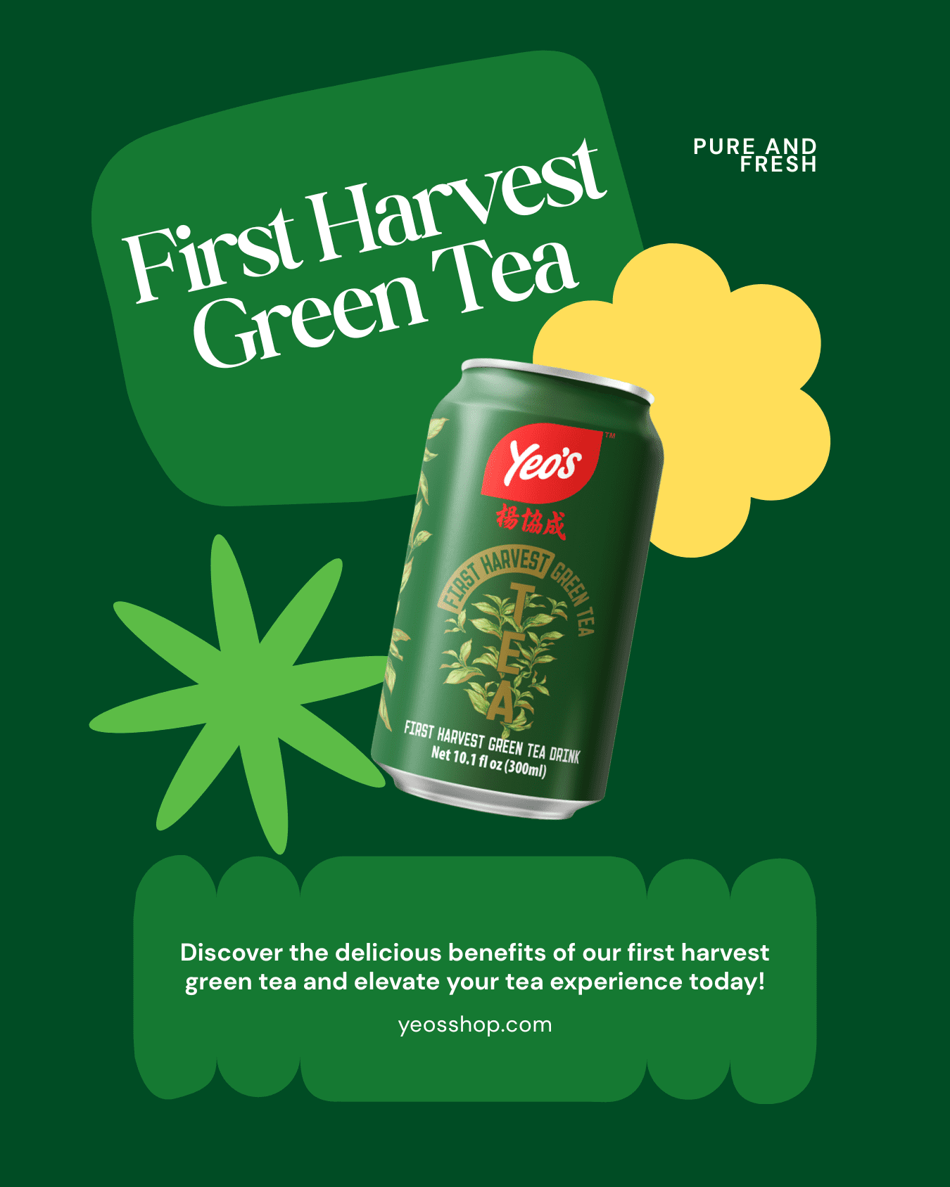 Yeo's First Harvest Green Tea 10.1 fl oz can Set of 24