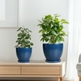 thumbnail image 6 of Modern Pots for Plants - 10/8/6 inch with Drainage Hole, Round Ceramic Planter Set for Succulents & Flowers Decorative Home Accent Matte Blue, 6 of 8