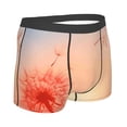 thumbnail image 3 of Disketp The Sunset Of Dandelion Men'S Boxer Briefs,Soft And Breathable Cotton Underwear With Comfortflex Waistband, 3 of 9