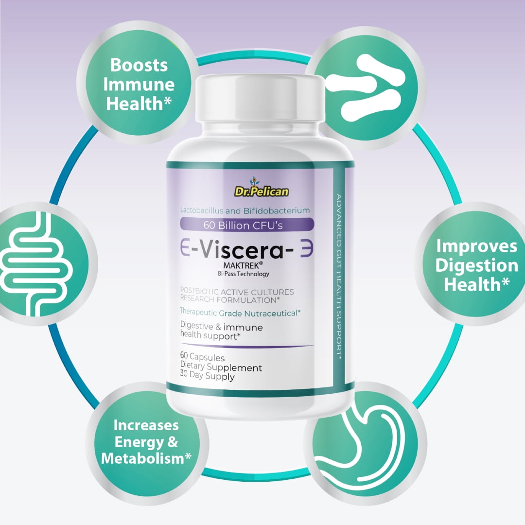 Viscera- Digestive Support- 60 Capsules