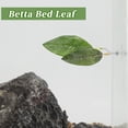 thumbnail image 3 of Cama única para peces Betta, cama de hoja para Betta, hamaca de plástico para Betta, almohadilla de hamaca para Betta con ventosa verde, 3 of 7