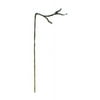 Ancient Graffiti Twig Single Shepherd Hook, Brown, 4'H