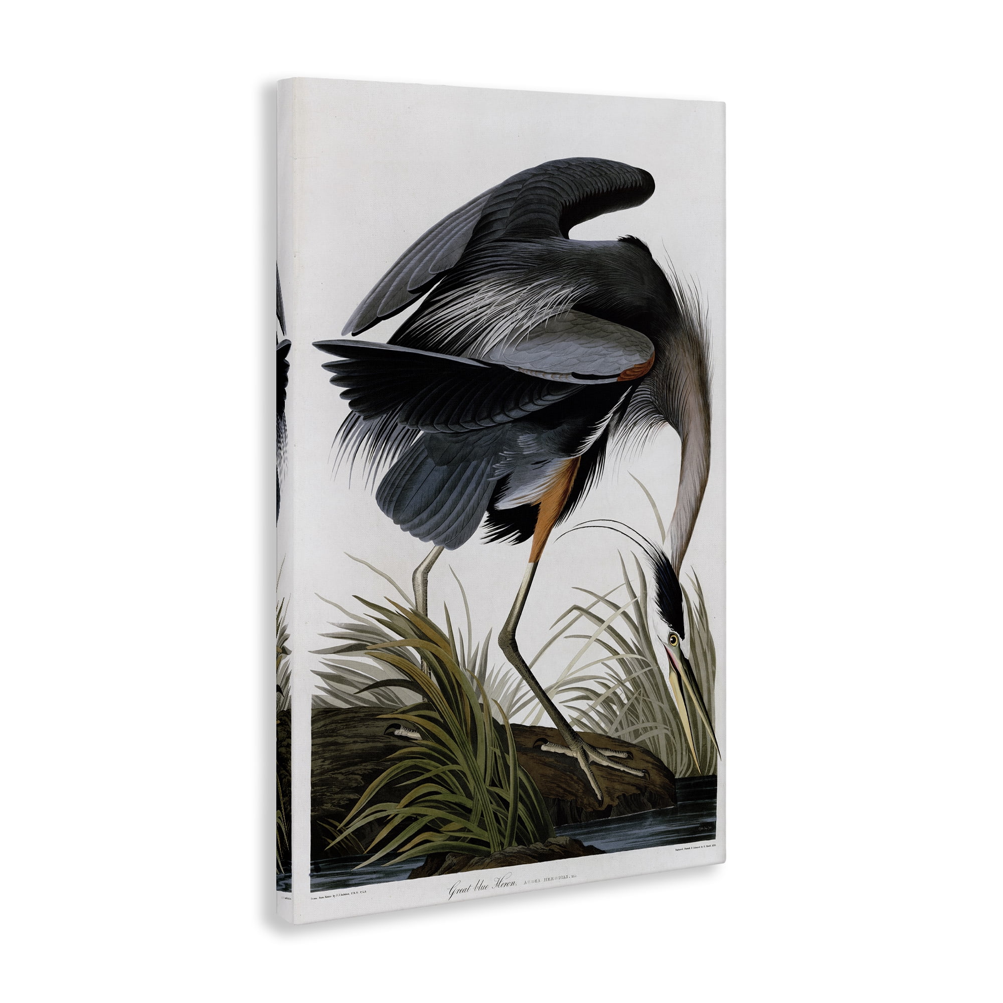 Stupell Industries Classic Heron at Lake Animals & Insects Painting Gallery Wrapped Canvas Art Print Wall Art, 30 x 45