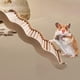 thumbnail image 4 of Hamster Escaleras Jaula Accesorios Escalada Escaleras Loros Entrenamiento L Zulema Escaleras de hámster, 4 of 7