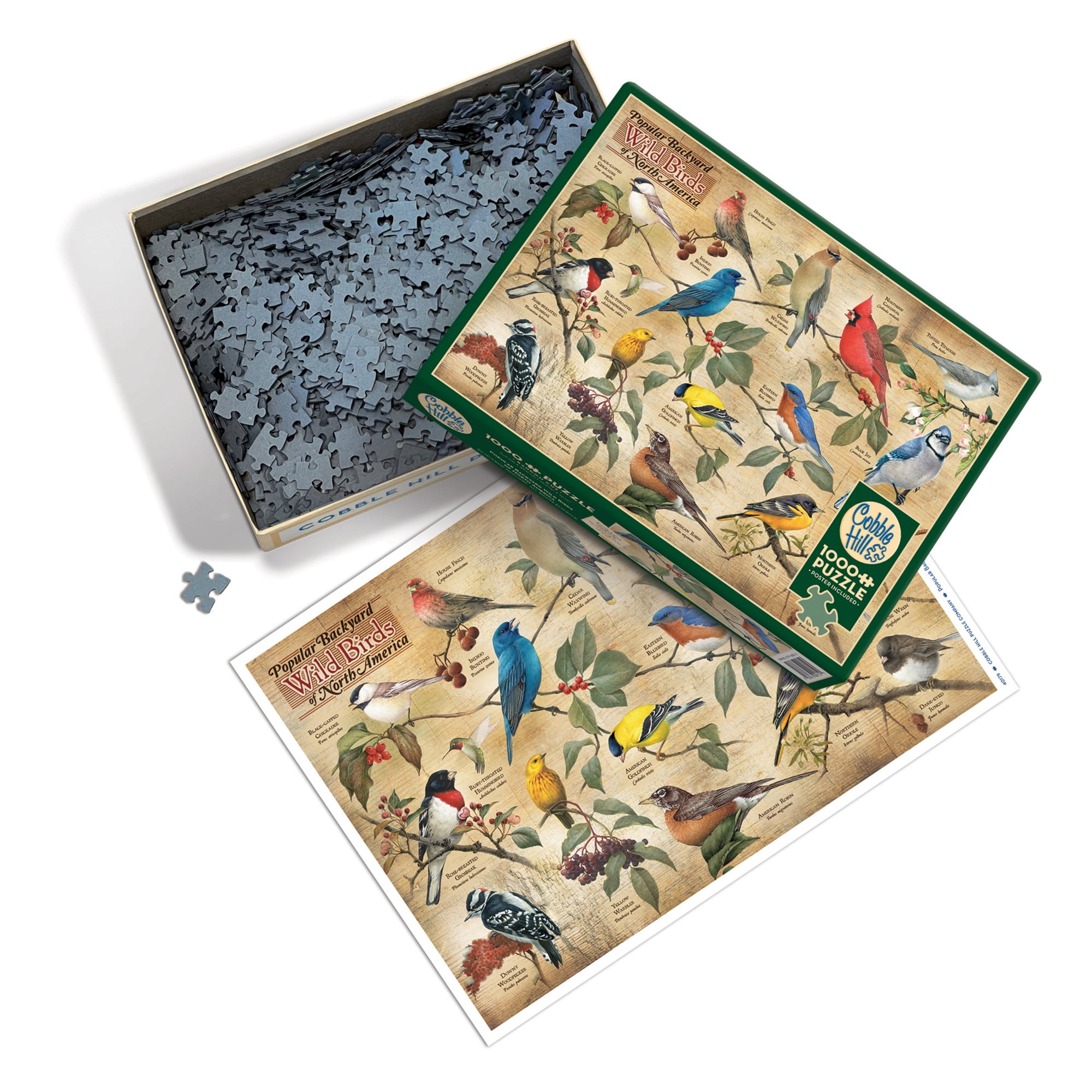 Cobble Hill 1000 Piece Puzzle: Popular Backyard Wild Birds of North America - Reference Poster Included, High Quality